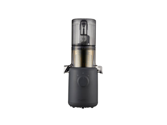 Hurom H310A Easy Series Cold Press Slow Juicer